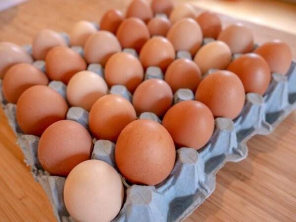 Crate of Egg